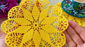 Read more about the article PRECIOSO MODELO DE TEJIDO A GANCHILLO