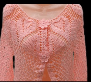 Read more about the article BLUSA PARA DAMA A CROCHET