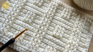 Read more about the article Crochet Stitch for Baby Blanket and Bag